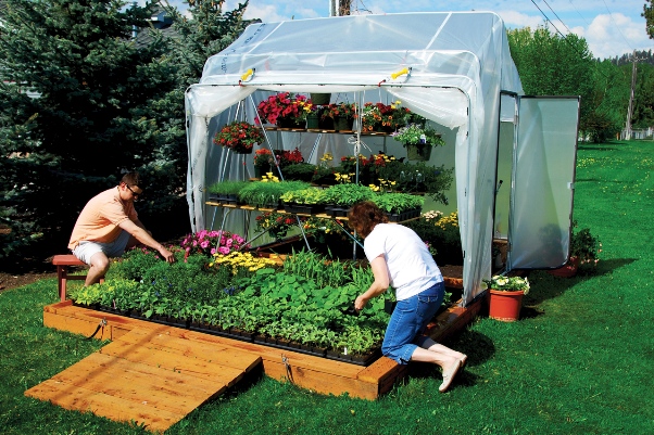 Как выращивать зелень дома в теплице