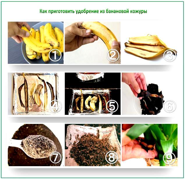 Удобрение из банановой кожуры, шкурки банана для подкормки