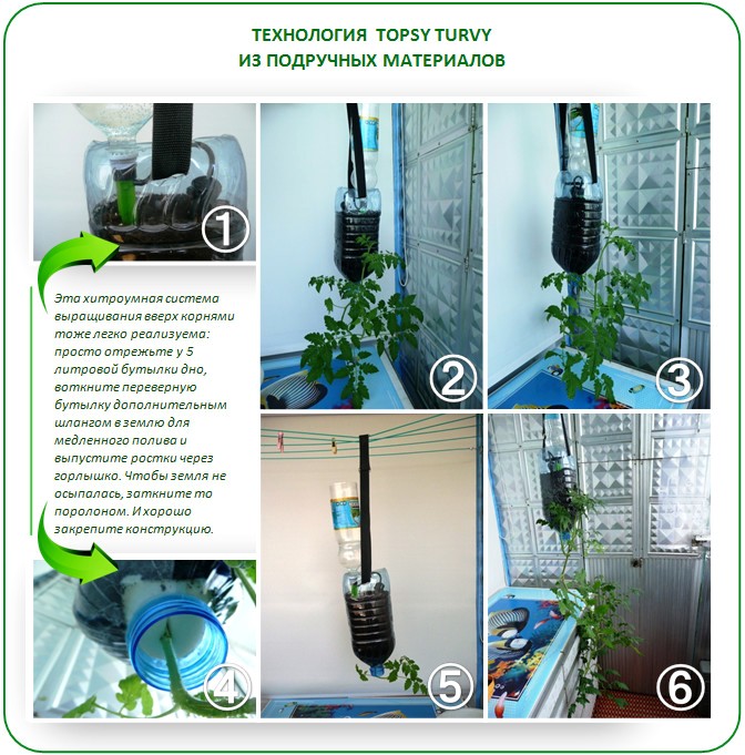 Контейнеры для растений из пластиковых бутылок
