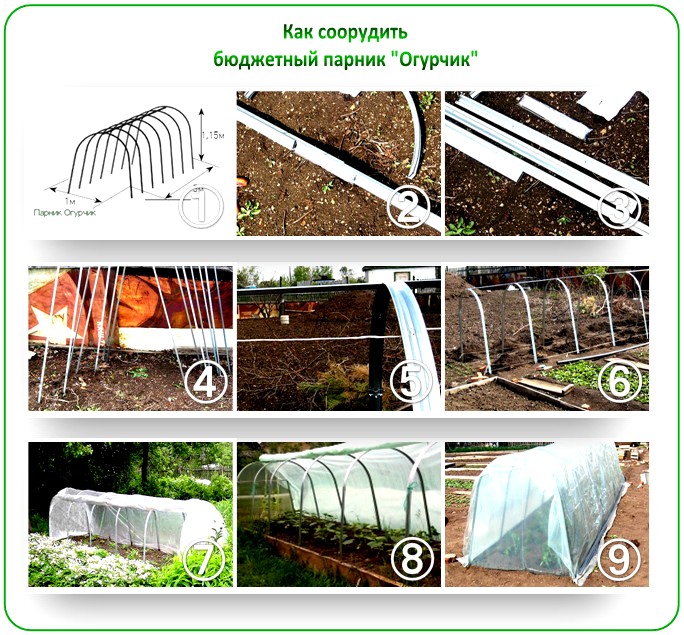 Парник огурчик схема сборки