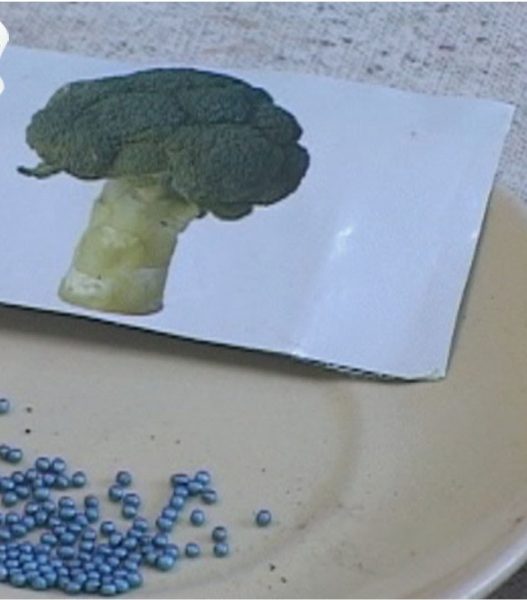 Обработанные семена брокколи