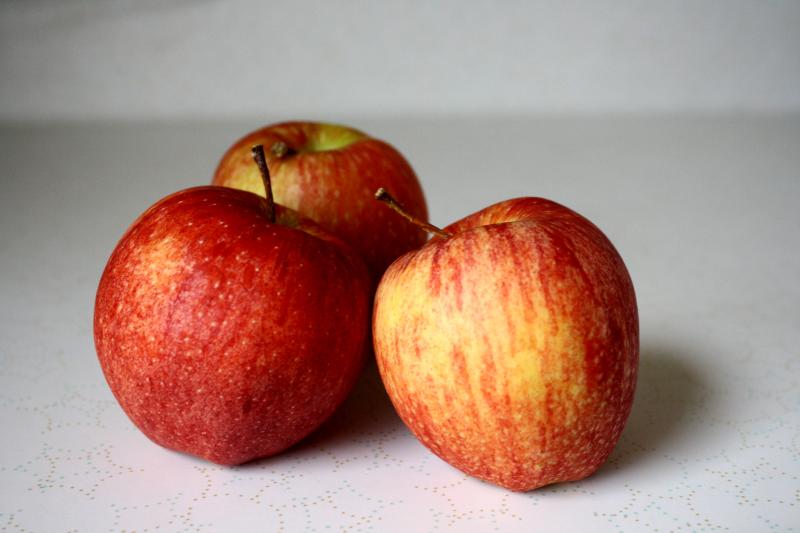 Яблоня сорта Гала: праздник вкуса в вашем саду