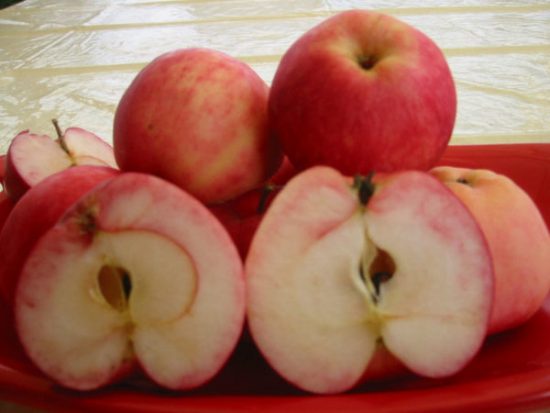 Яблоки в разрезе