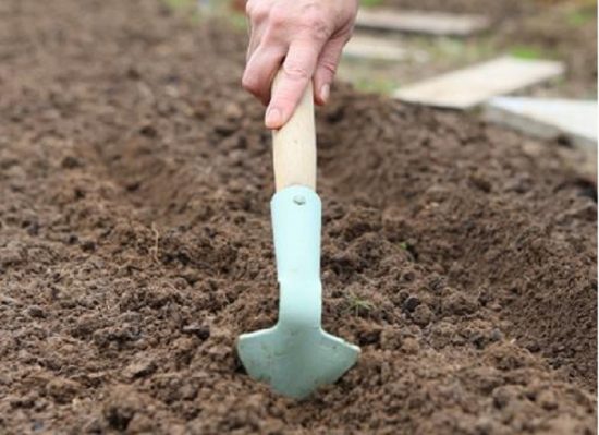 Почва на грядке под арбузы