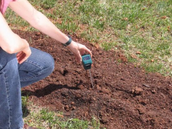 Прибор для определения кислотности почвы