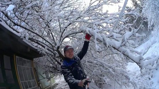 Стряхивание снега с ветвей