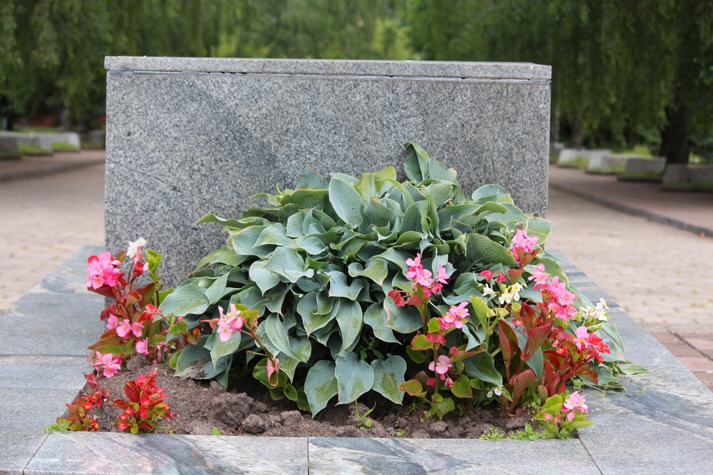 Цветы На Кладбище Фото