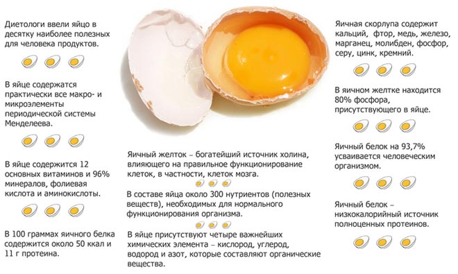 Можно ли есть яйца каждый день, в том числе варёные, и чем это грозит