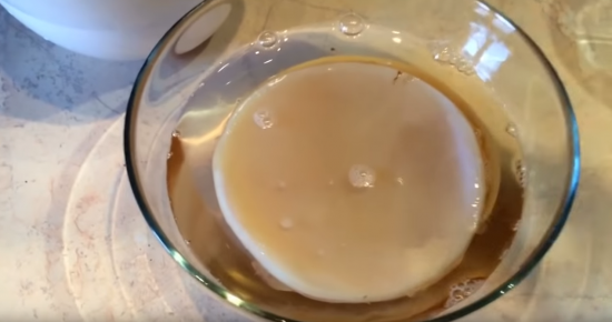 Чайный гриб в чистой кипячёной воде