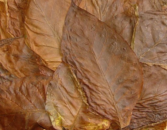 Табачные листья