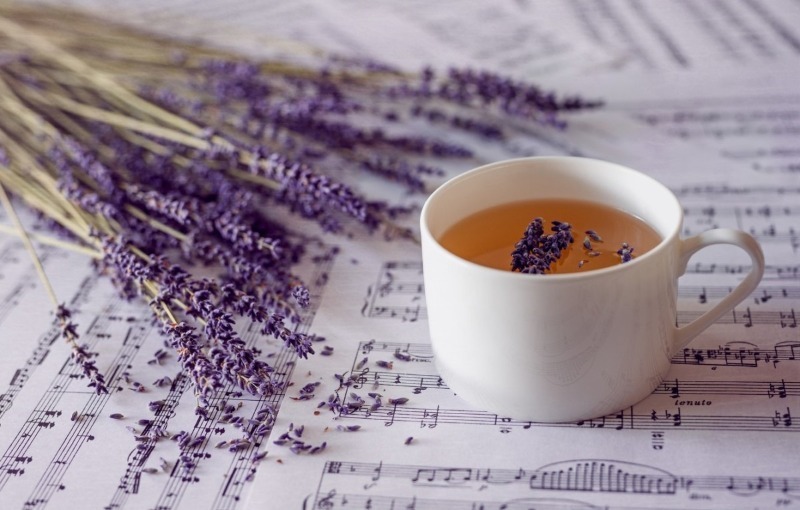 7 рецептов вкусного и полезного чая из дачных запасов