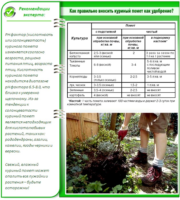 Куриный Помет Инструкция По Использованиею